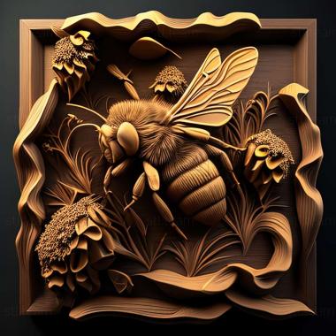 3D модель Bombus mesomelas (STL)